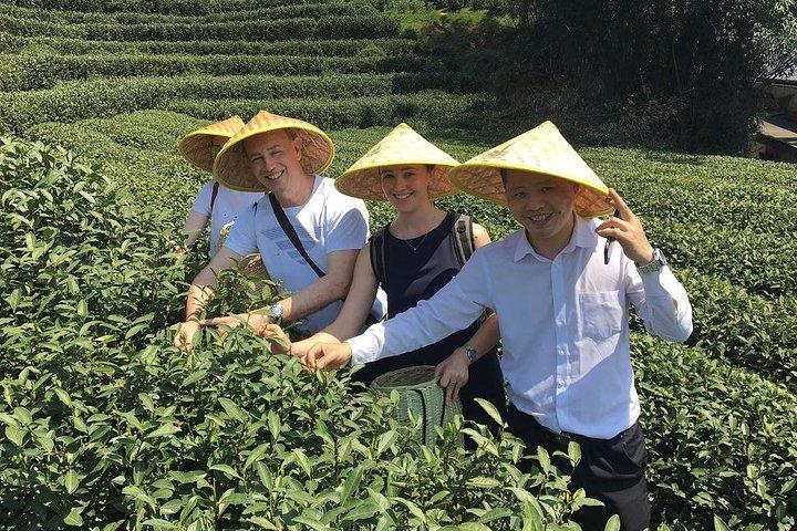 Authentic Hangzhou Longjing Tea Culture Experience Tour