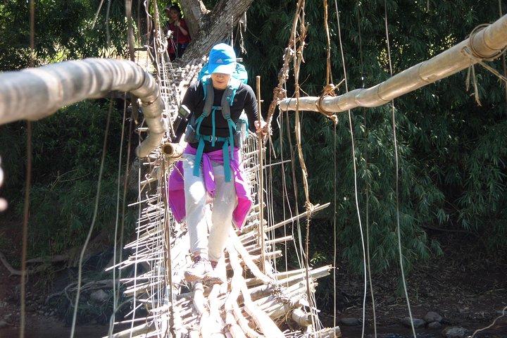 The Wild Explorer - 3 days forest trek with homestay and camping