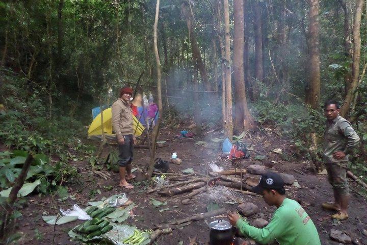 The Wild Explorer - 3 days forest trek with homestay and camping