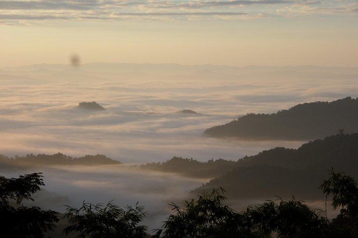 The Wild Explorer - 3 days forest trek with homestay and camping