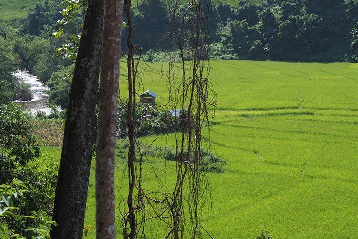 Nalan Trail Kmu Ethnic Experience - 2days forest trek with homestay.
