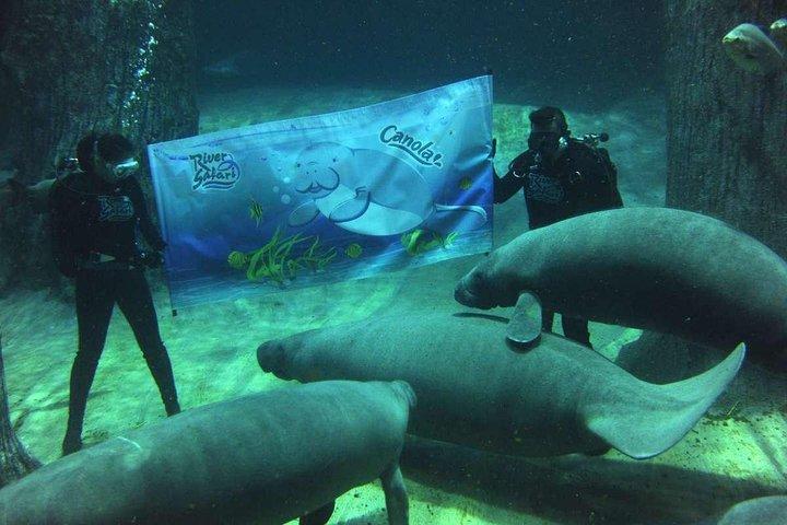 Singapore River & Night Safari-COMBO (Shared Transfer)