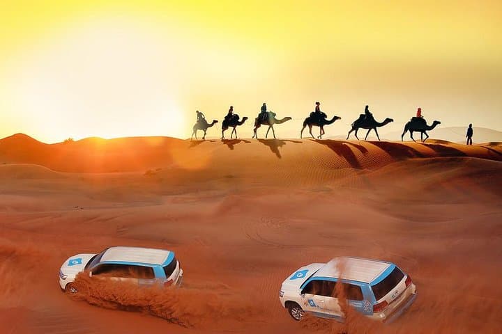 Premium Desert Safari with 45 Minutes of Dune Bashing, BBQ Dinner & Belly Dance