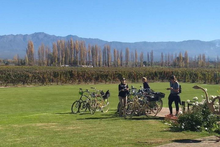 Self-Guided Bike Tour in Luján de Cuyo Wine Region (Mendoza)