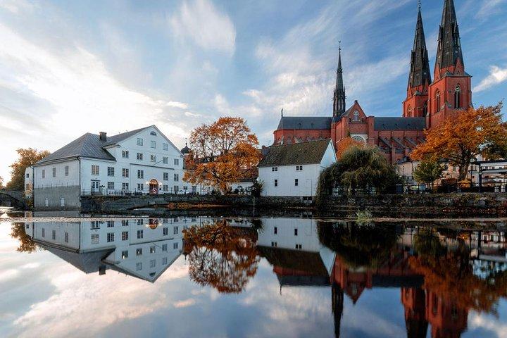 The Stockholm & Sigtuna Legacy: A Private VIP Viking Journey