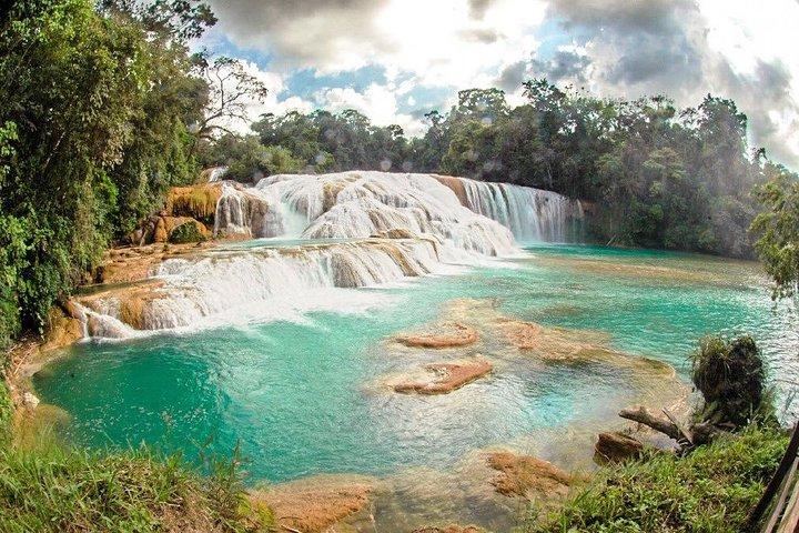 PALENQUE RUINS, AGUA AZUL and MISOL-HA (Private)
