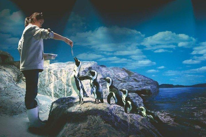 SEA LIFE Ocean World at Bangkok Admission Ticket