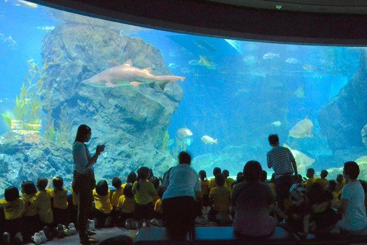 SEA LIFE Ocean World at Bangkok Admission Ticket