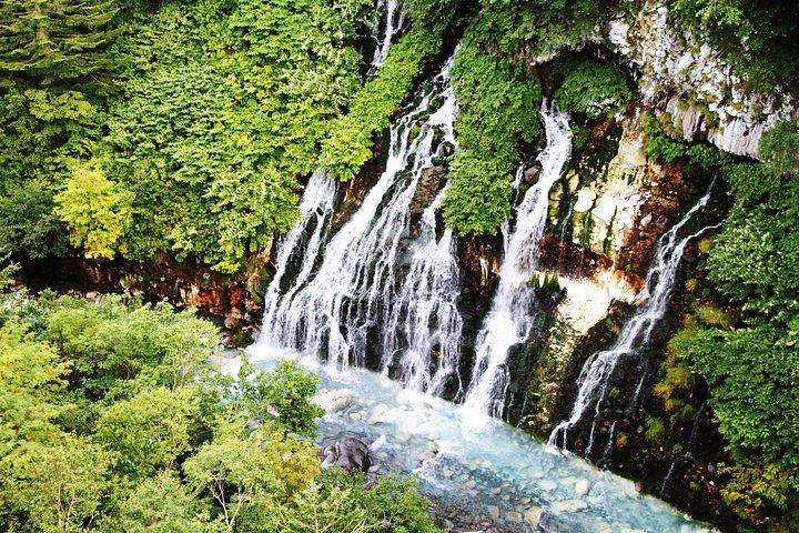 [Biei/Furano] One-day sightseeing by private car!
