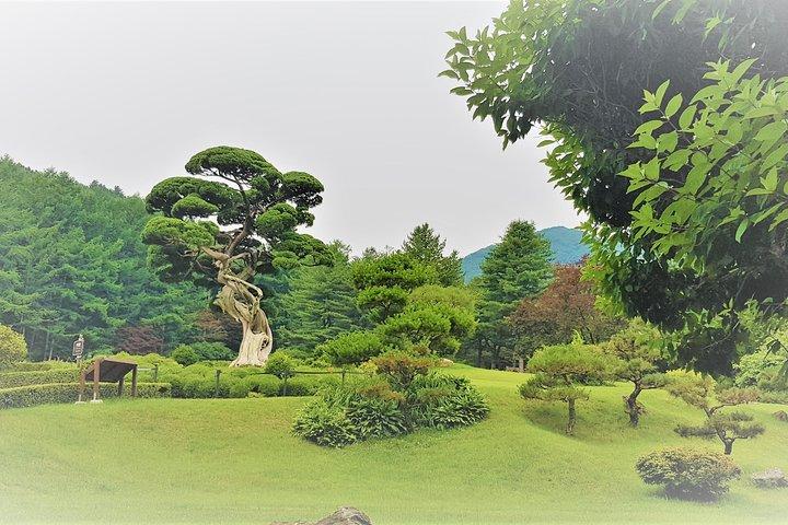Easy private tour to Nami Island, Garden of Morning Calm