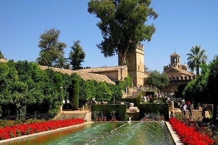 Cordoba Guided Tour Mosque and Cathedral from Seville