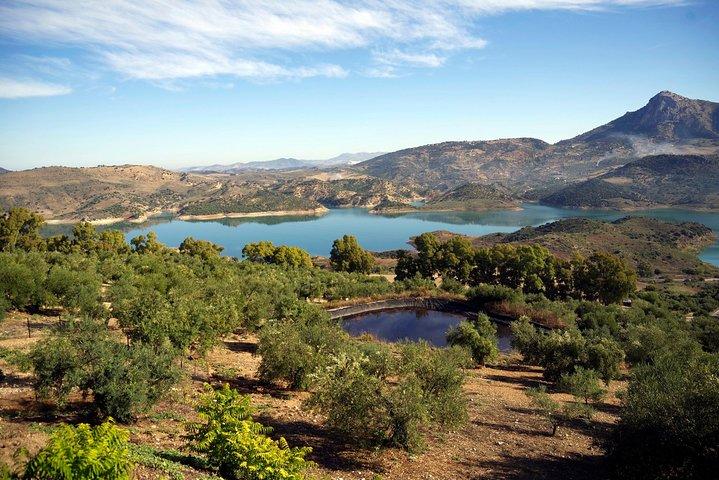 Private White Villages & Ronda Day Tour from Seville