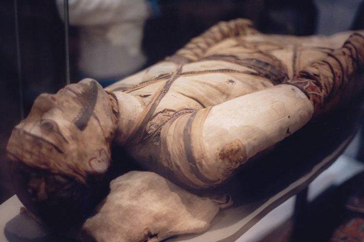 Luxor Museum & Mummification Museum