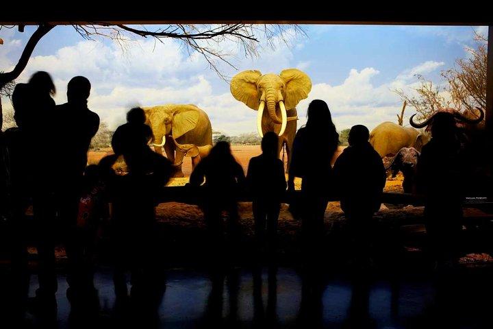 Natural History Museum of Los Angeles County Admission