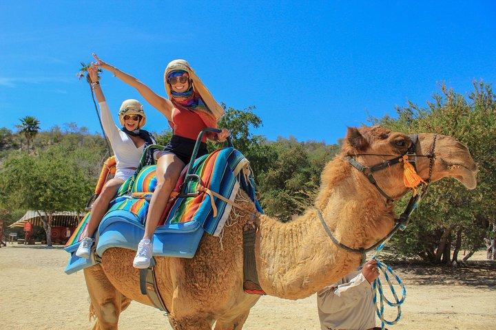 Camel Ride in the Canyon and Thrilling Water Slides and Snacks
