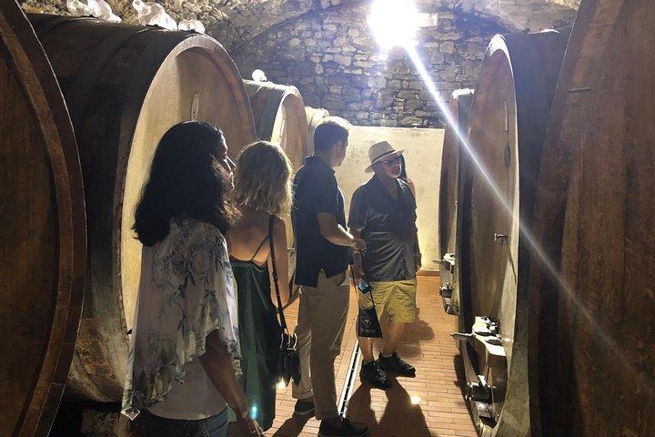 Private wine tour of Chianti