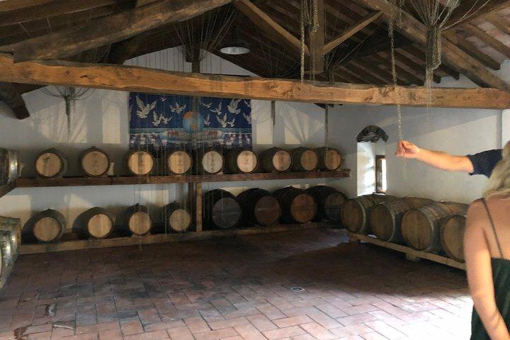 Private wine tour of Chianti
