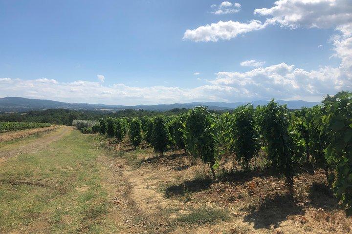 Private wine tour of Chianti