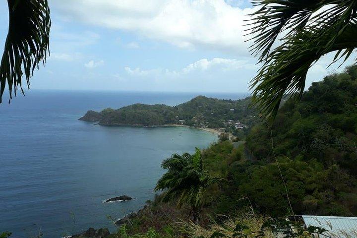 Birdwatching, Waterfall, Rainforest and Island Nature Tours
