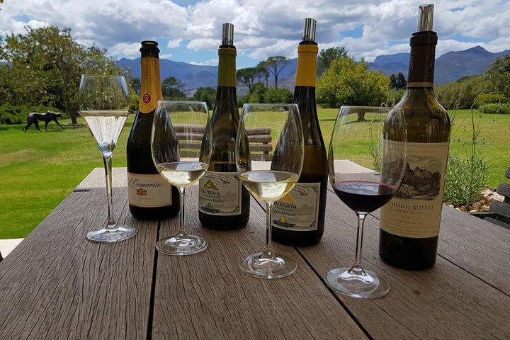 Customized Private Wine Tour