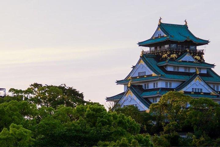 Osaka Private Customizable Half Day Tour