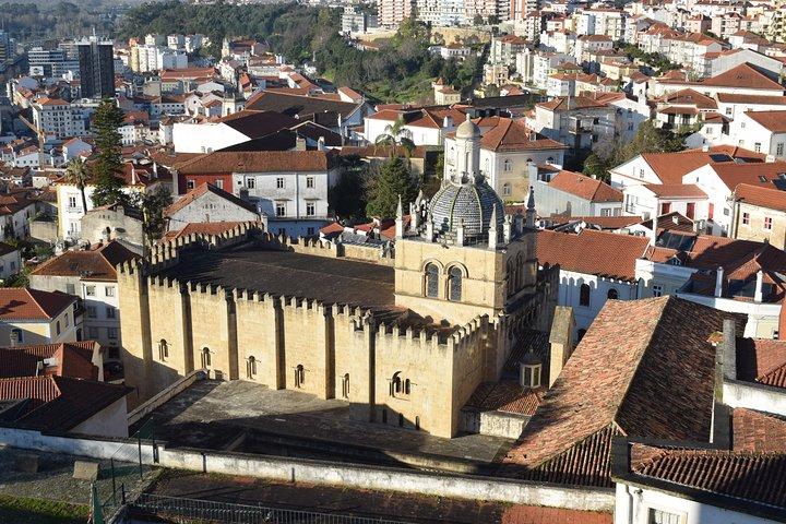 Coimbra gastronomic experience - Aveiro boat ride From Lisbon
