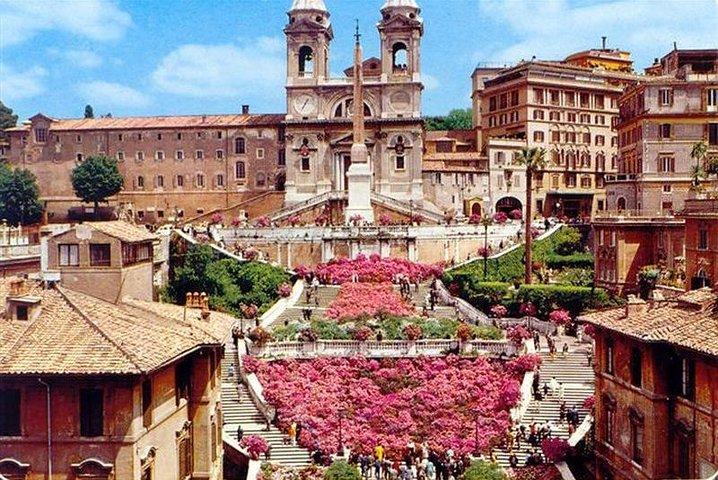 Rome private Guided Tour with driver