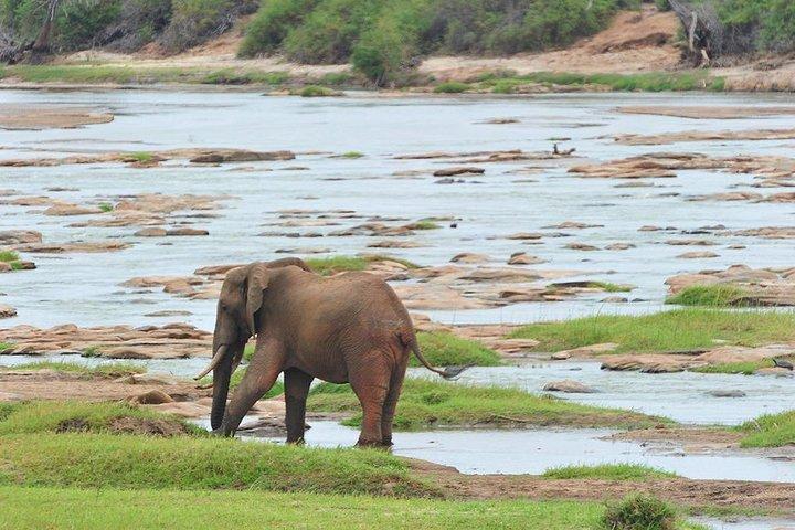 3 Days Tsavo West-Amboseli SGR Train Serena Safari Experience (minimum 2 Pax)