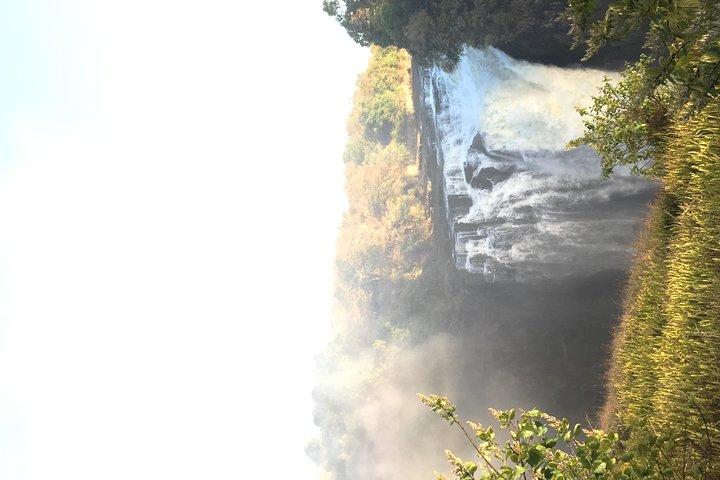 Private Guided Tour of the Falls with Pickup