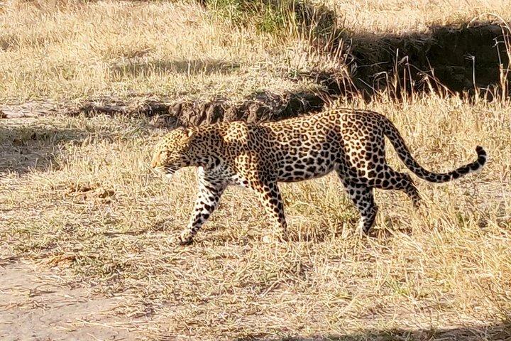 3 Days Masaai Mara Joining Safari