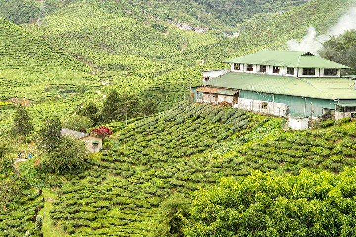 4 Days Best of Kerala Tour with Private Houseboat, Sightseeing & Car