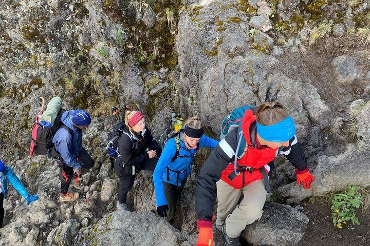 Trek To Mount Kilimanjaro