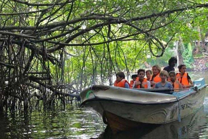 Galle Day Private Tour Beruwala/Bentota/Kosgoda/Ahungalla