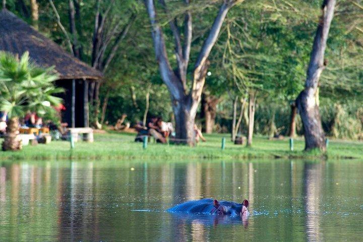 3 Days Nairobi, Tsavo West, Amboseli Safari