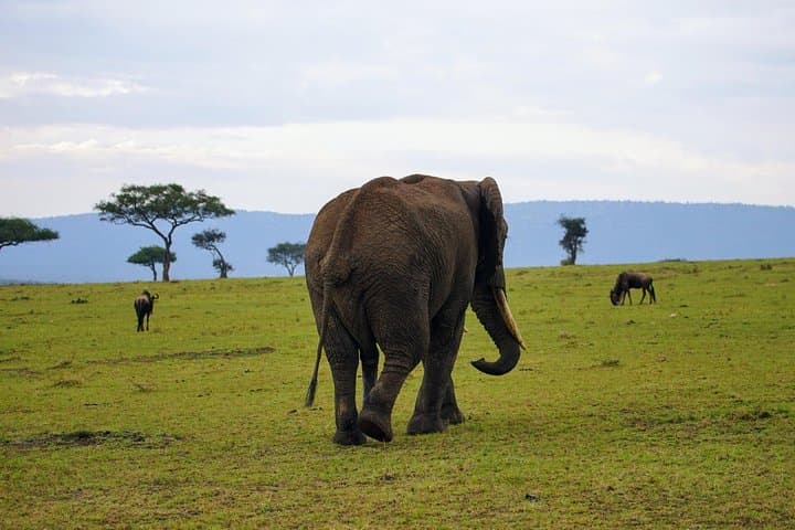 3 Days Amboseli National Park safari