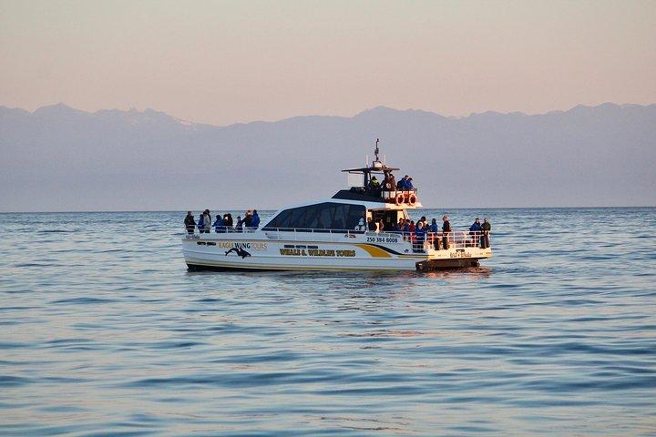 Victoria Semi Covered Sunset Whale-Watching Tour