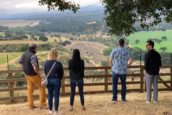 Santa Barbara Small-Group Wine Tour to Private Estates & Wineries
