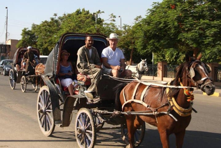 3-Hour Private Luxor Horse Carriage City Tour