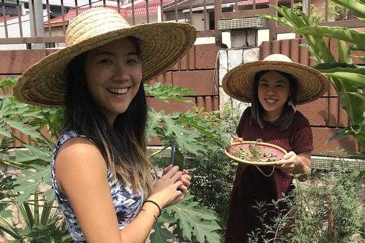New Malaysian Kitchen Cooking Class and Garden Tour
