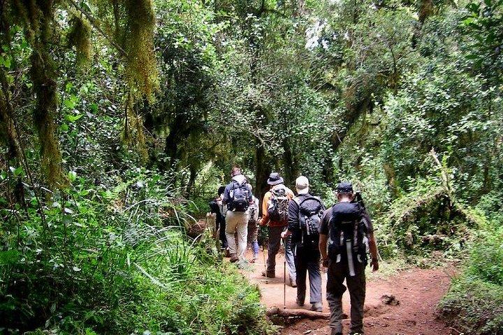 Meru Water falls Day trip