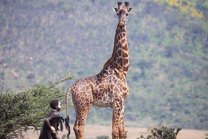 Visit the Masai Market