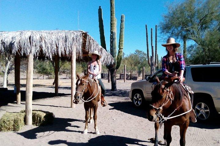 Baja Desert Horseback Riding Tour
