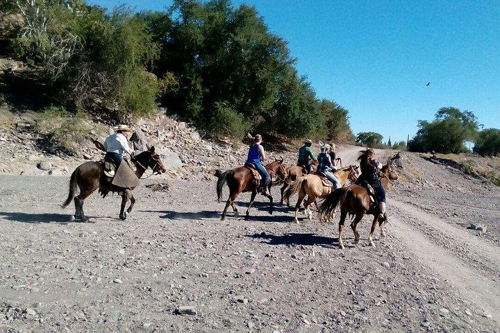 Baja Desert Horseback Riding Tour