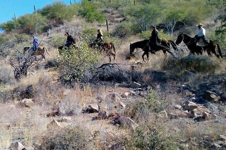 Baja Desert Horseback Riding Tour