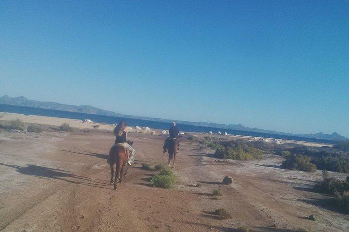 Baja Desert Horseback Riding Tour