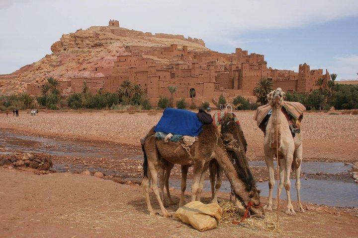 Private Day Trip to Ouarzazate & Ait Ben Haddou from Marrakech