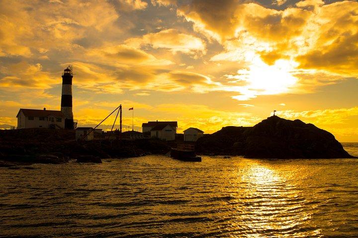 Victoria Sunset Whale-Watching Cruise