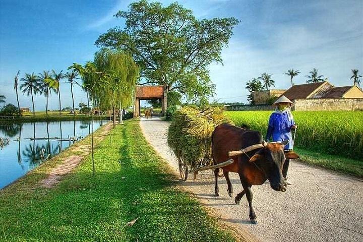 Timeless Full-Day Rural Vietnam and Hanoi Heritage Tour
