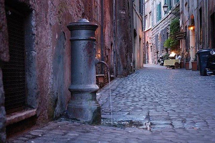 Rome private Guided Tour with driver