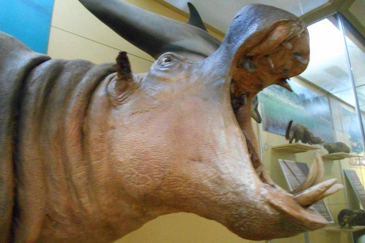 3 Hours Nairobi National Museum